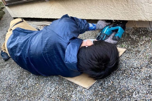 東京都　M様　ネズミとの遭遇！