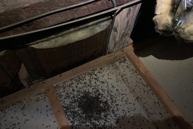 神奈川県　K様　エアコンの臭いが、、、 