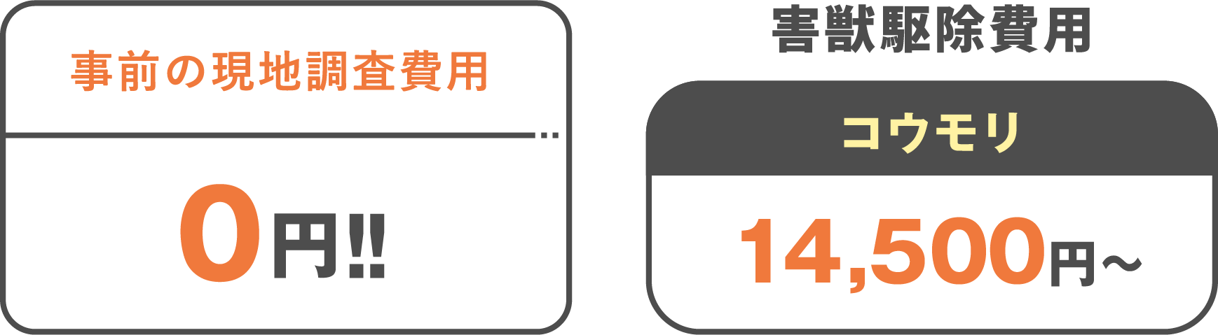 事前の現地調査費用0円+害獣駆除費用14,500円〜