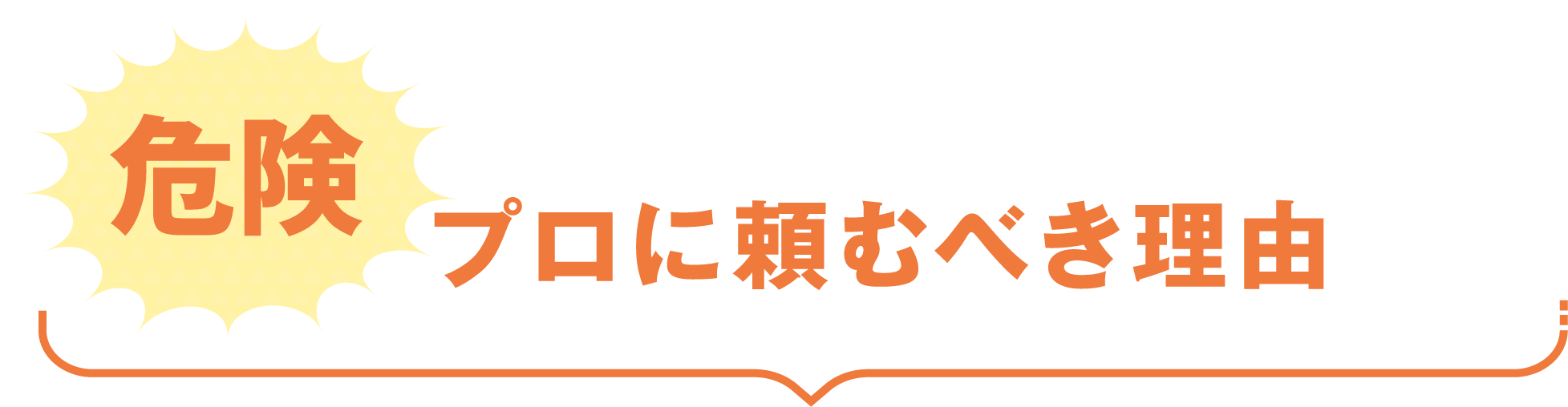 【危険】プロに頼むべき理由