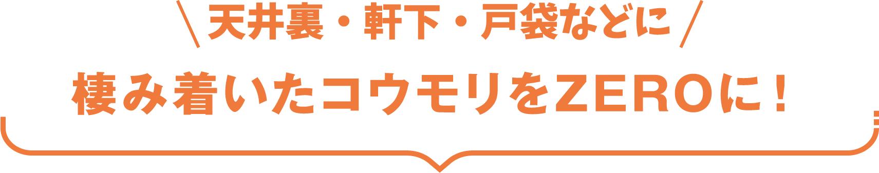 天井裏・軒下・戸袋などに/棲み着いたコウモリをZEROに！