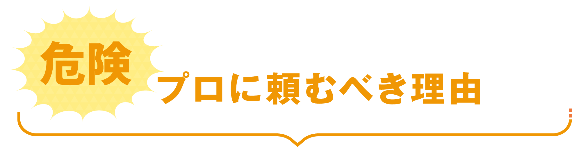 【危険】プロに頼むべき理由