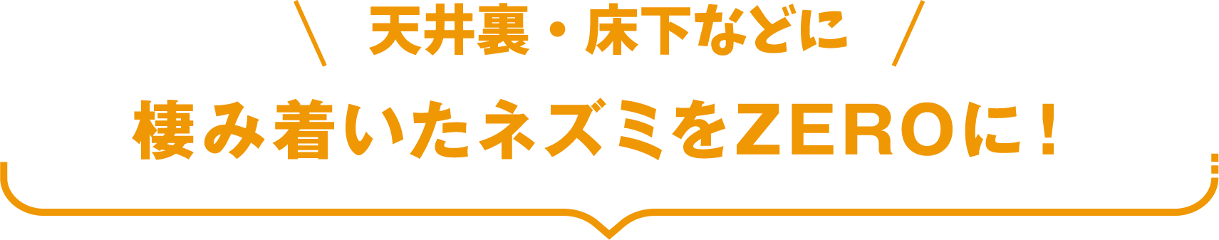 天井裏・床下などに棲み着いたネズミをZEROに！