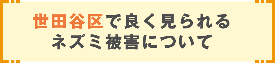 世田谷区で良く見られるネズミ被害について